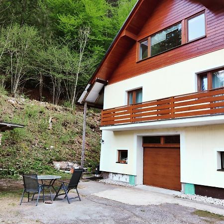 Seeblick Krippenstein Obertraun Exterior photo