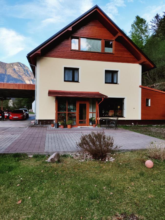 Seeblick Krippenstein Obertraun Exterior photo