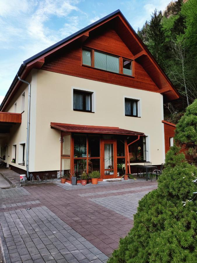 Seeblick Krippenstein Obertraun Exterior photo