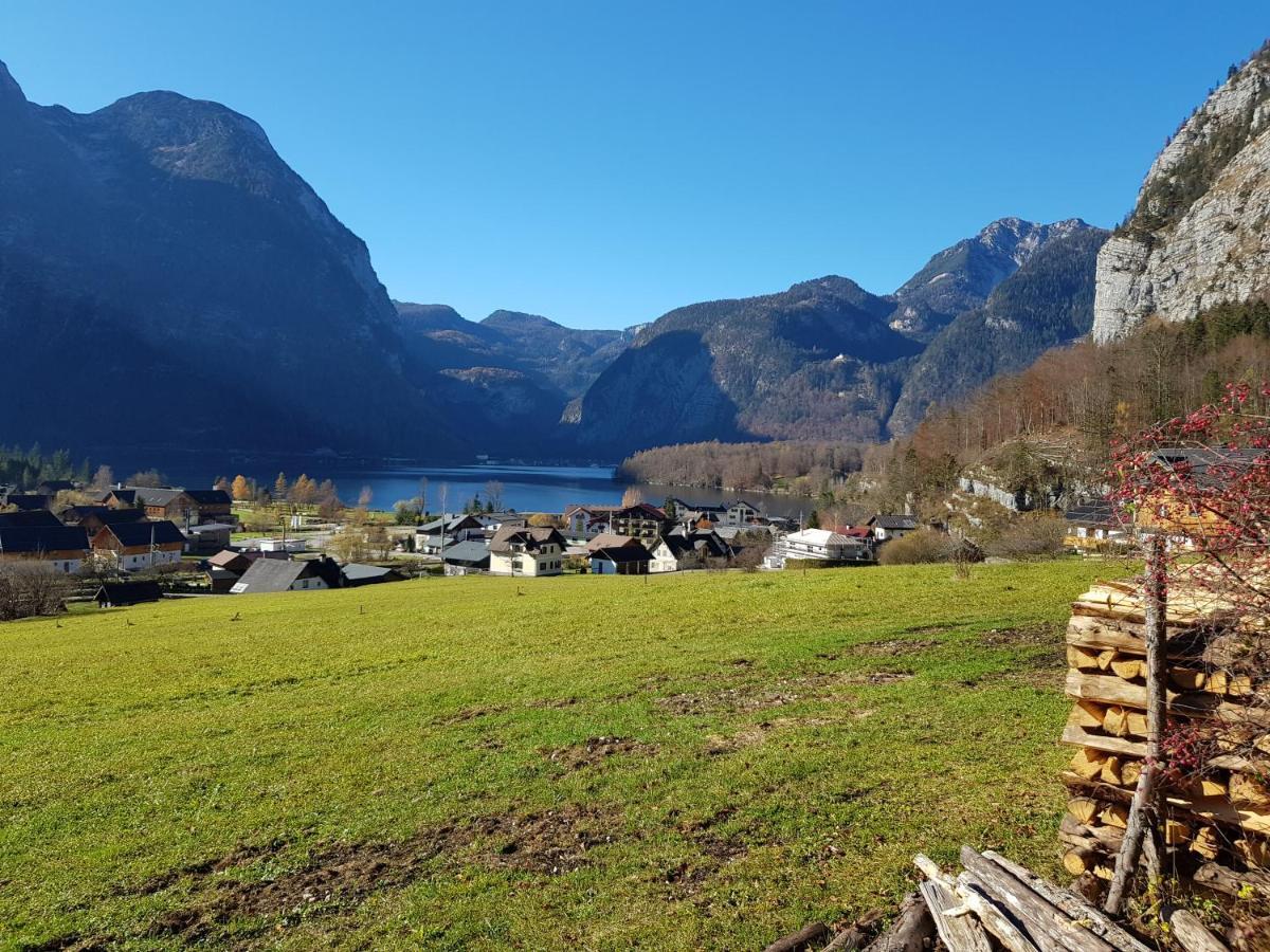 Seeblick Krippenstein Obertraun Exterior photo